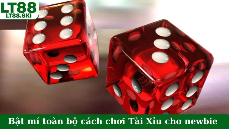 Bật mí toàn bộ cách chơi Tài Xỉu cho newbie