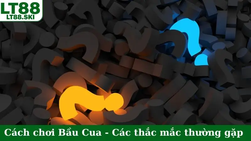Cách chơi Bầu Cua - Các thắc mắc thường gặp
