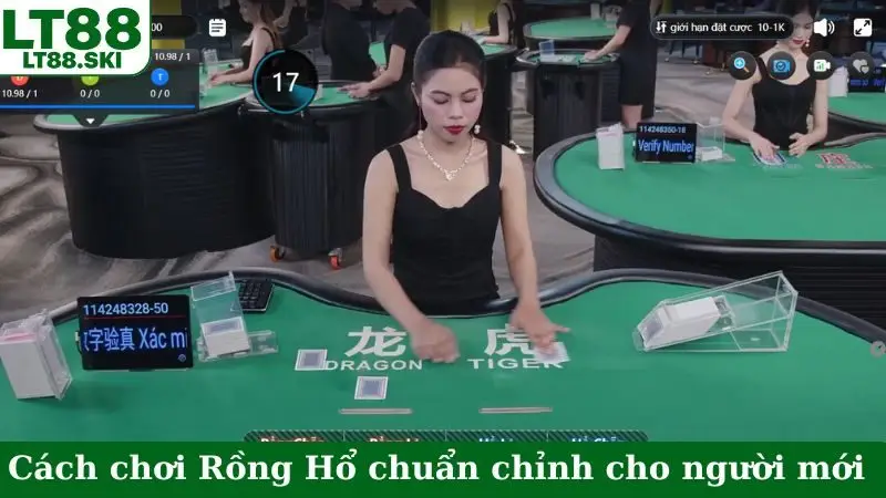 Cách chơi Rồng Hổ chuẩn chỉnh cho người mới