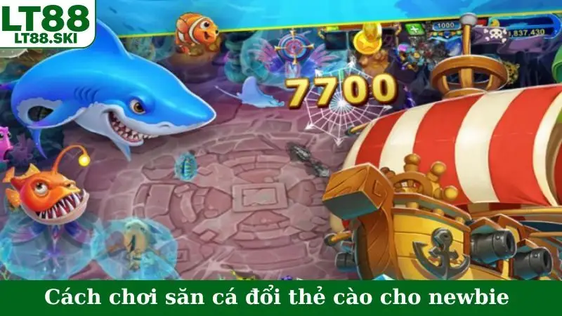 Cách chơi săn cá đổi thẻ cào cho newbie