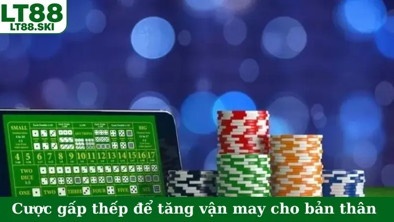 Cược gấp thếp để gia tăng vận may cho bản thân