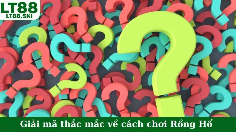 Giải mã thắc mắc về cách chơi Rồng Hổ