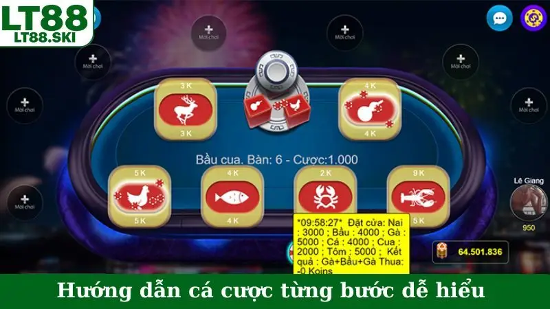 Hướng dẫn cá cược từng bước dễ hiểu