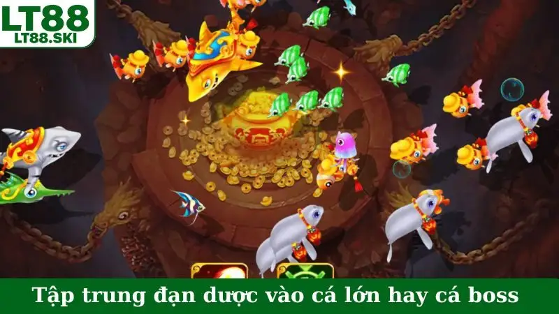 Tập trung đạn dược vào cá lớn hay cá boss