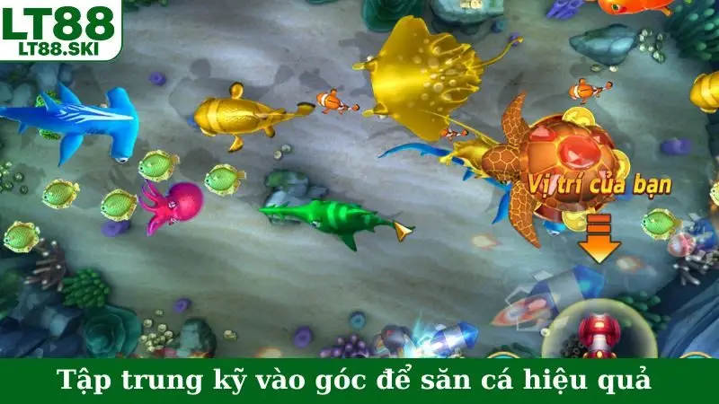 Tập trung kỹ vào góc để săn cá hiệu quả